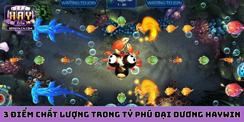 3 điểm chất lượng trong Tỷ Phú Đại Dương HAYWIN
