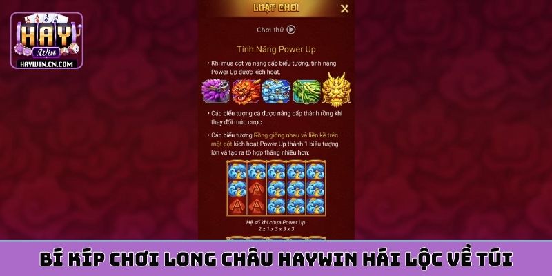 Bí kíp chơi long châu HAYWIN hái lộc về túi