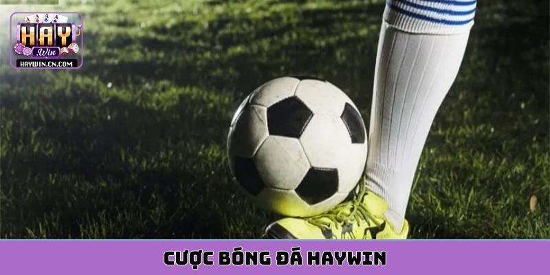 cược bóng đá HAYWIN