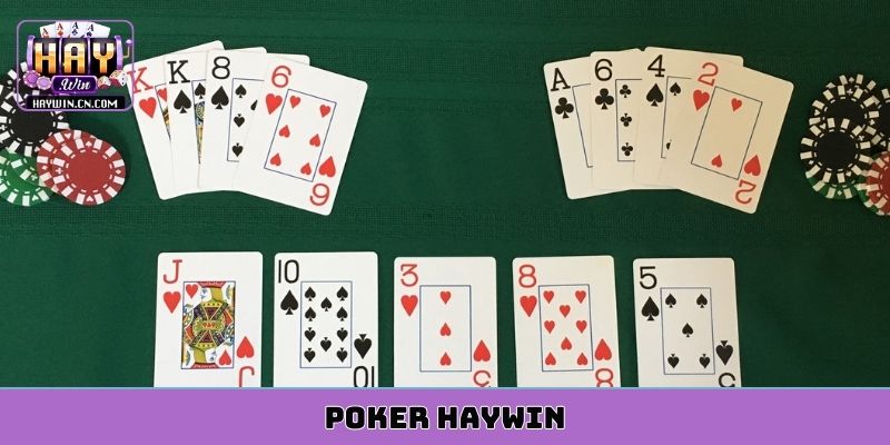 poker HAYWIN