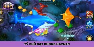 tỷ phú đại dương HAYWIN