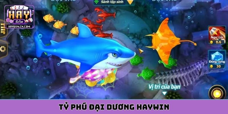tỷ phú đại dương HAYWIN