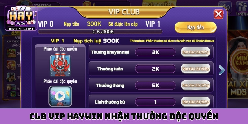 CLB VIP HAYWIN nhận thưởng độc quyền