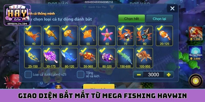 Giao diện bắt mắt từ mega fishing HAYWIN