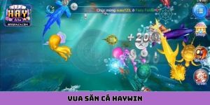 vua săn cá HAYWIN