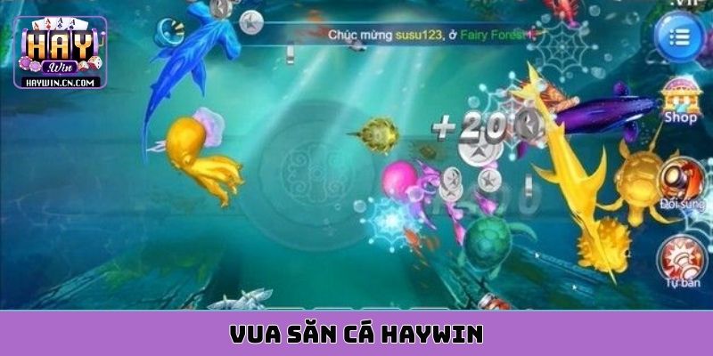 vua săn cá HAYWIN