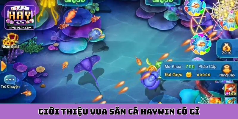 Giới thiệu vua săn cá HAYWIN có gì?