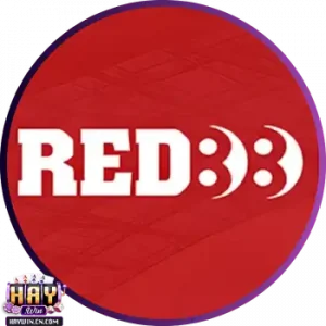 hop tac cung haywin 6