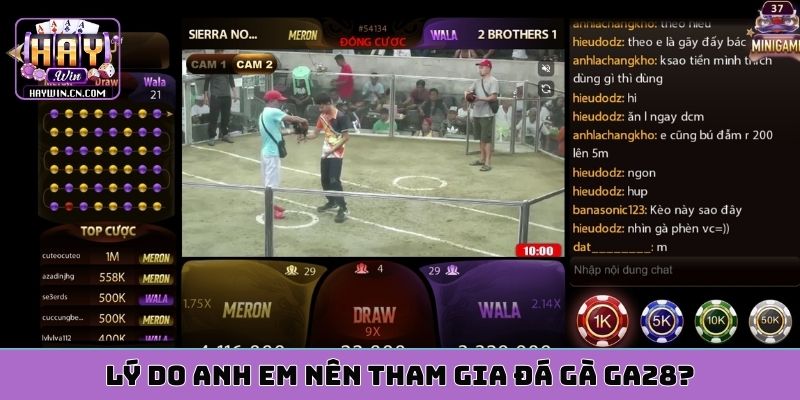 Lý do anh em nên tham gia đá gà ga28?