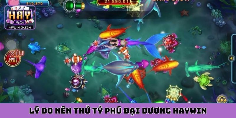 Lý do nên thử trải nghiệm Tỷ Phú Đại Dương HAYWIN