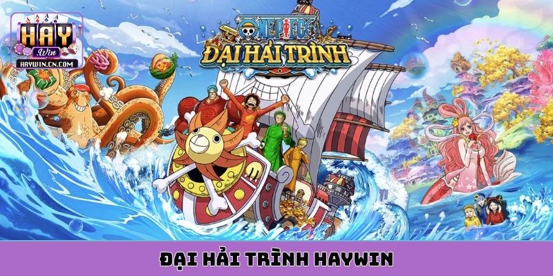 đại hải trình HAYWIN