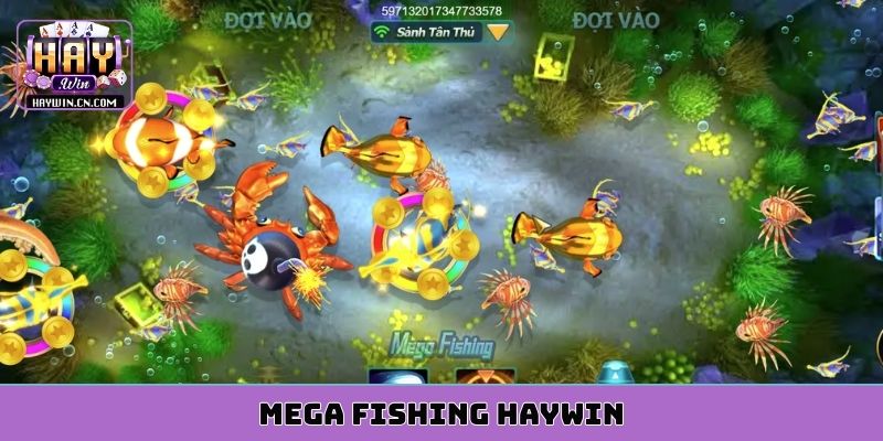 mega fishing HAYWIN