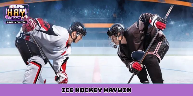 ice hockey HAYWIN